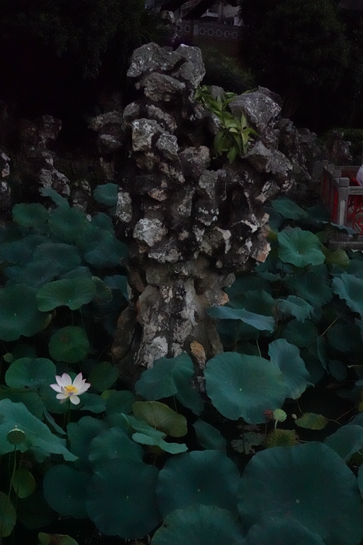 盧廉若公園的假山石。人民網(wǎng) 唐佳 攝